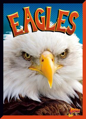 Vorderes Coverbild Eagles