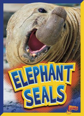 Vorderes Coverbild Elephant Seals