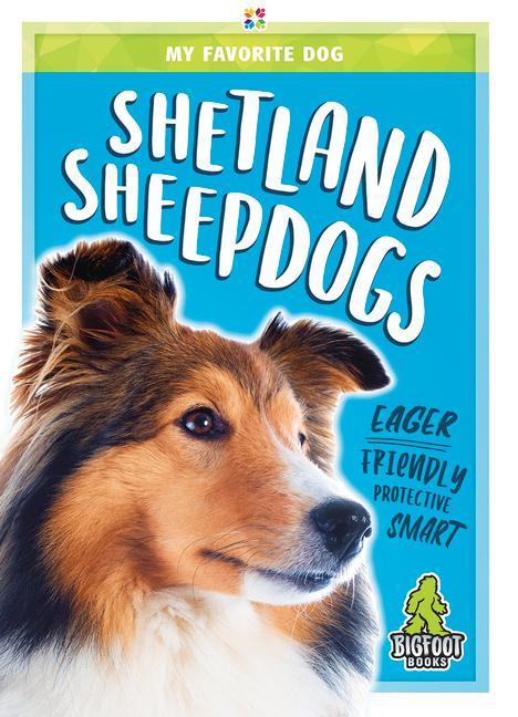 Vorderes Coverbild Shetland Sheepdogs