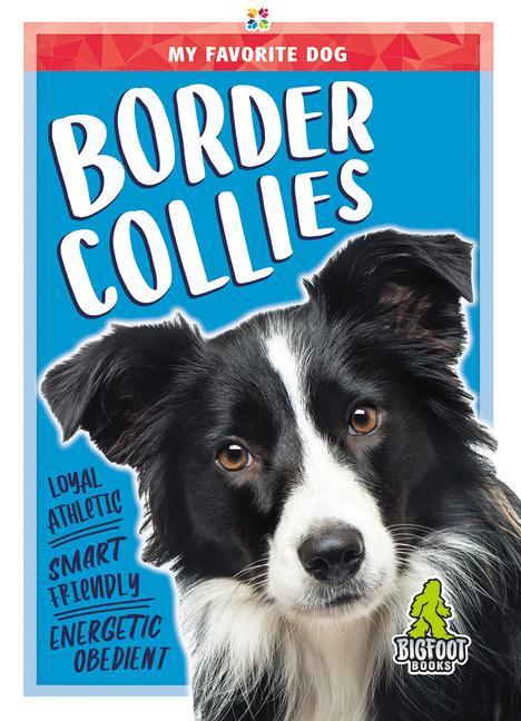 Vorderes Coverbild Border Collies