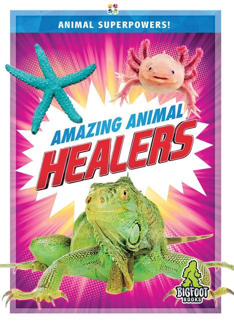 Vorderes Coverbild Amazing Animal Healers
