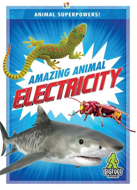 Vorderes Coverbild Amazing Animal Electricity