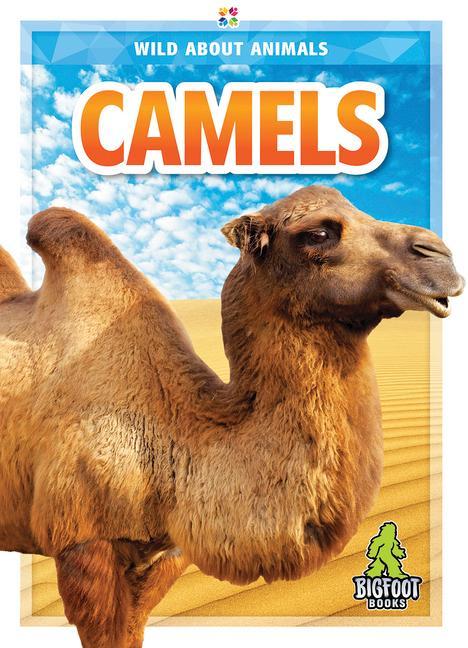 Vorderes Coverbild Camels