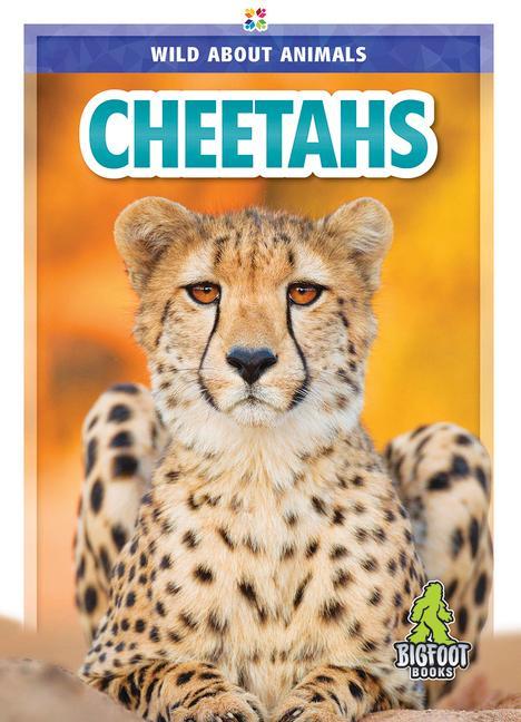 Vorderes Coverbild Cheetahs