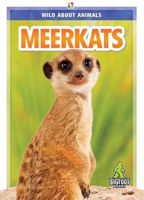 Vorderes Coverbild Meerkats