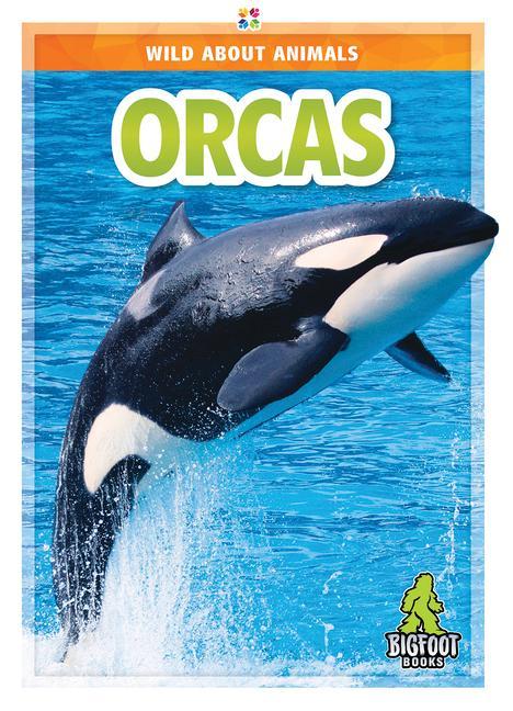 Vorderes Coverbild Orcas