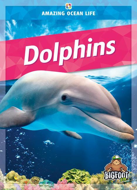 Vorderes Coverbild Dolphins
