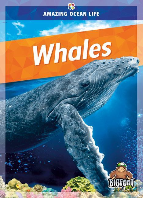 Vorderes Coverbild Whales