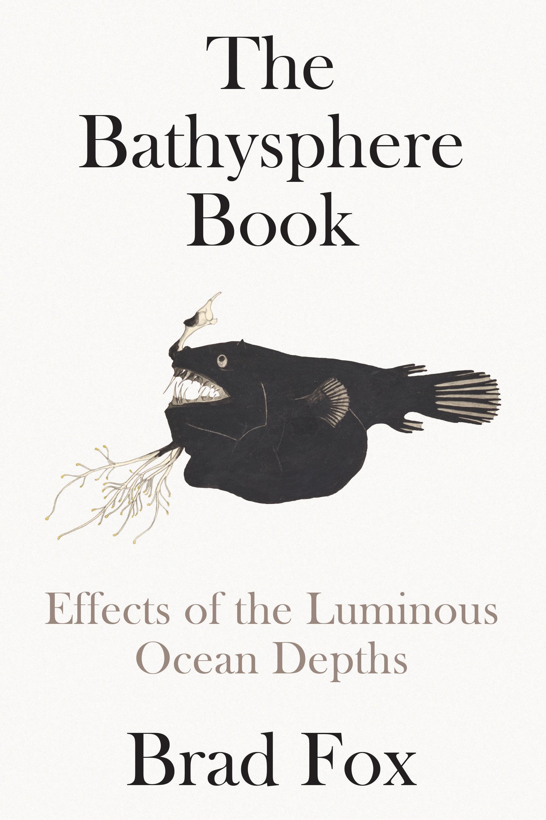 Vorderes Coverbild The Bathysphere Book