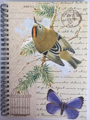 Vorderes Coverbild Goldcrest A5 Spiral Notepad