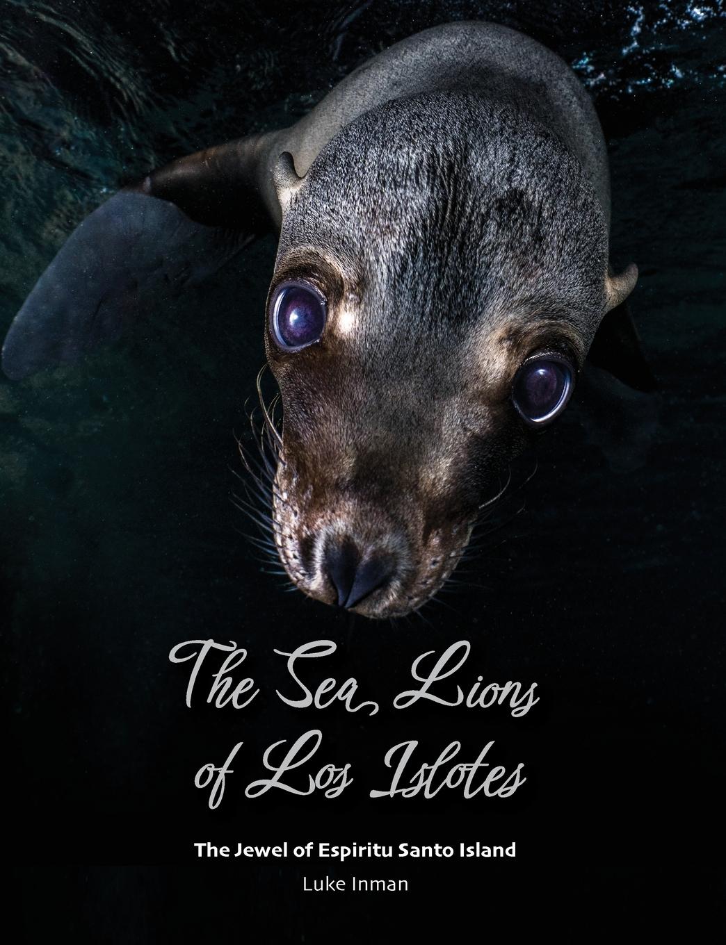 Vorderes Coverbild The Sea Lions of Los Islotes