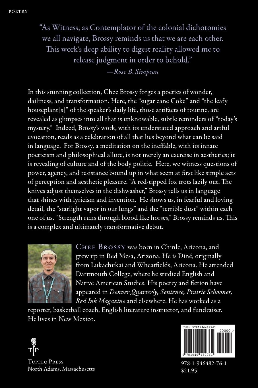 Rückseitencover The Strings Are Lightning and Hold You In