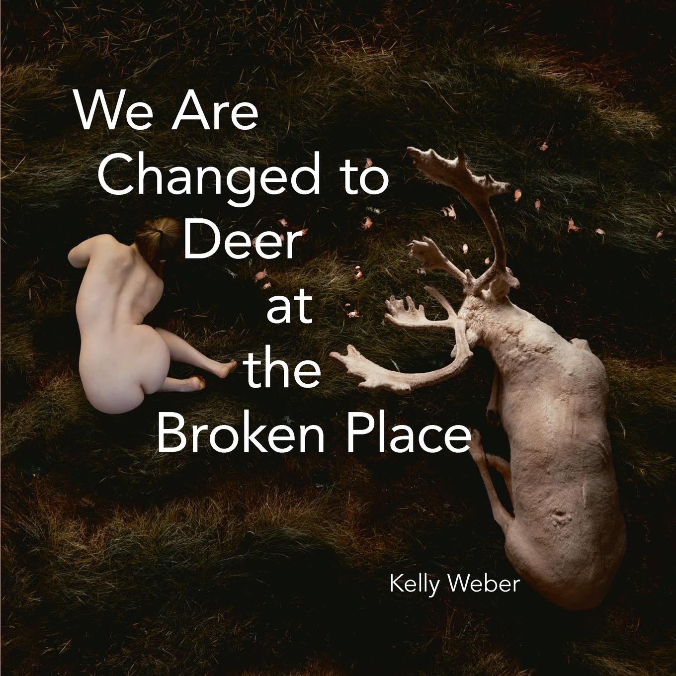 Vorderes Coverbild We Are Changed to Deer at the Broken Place