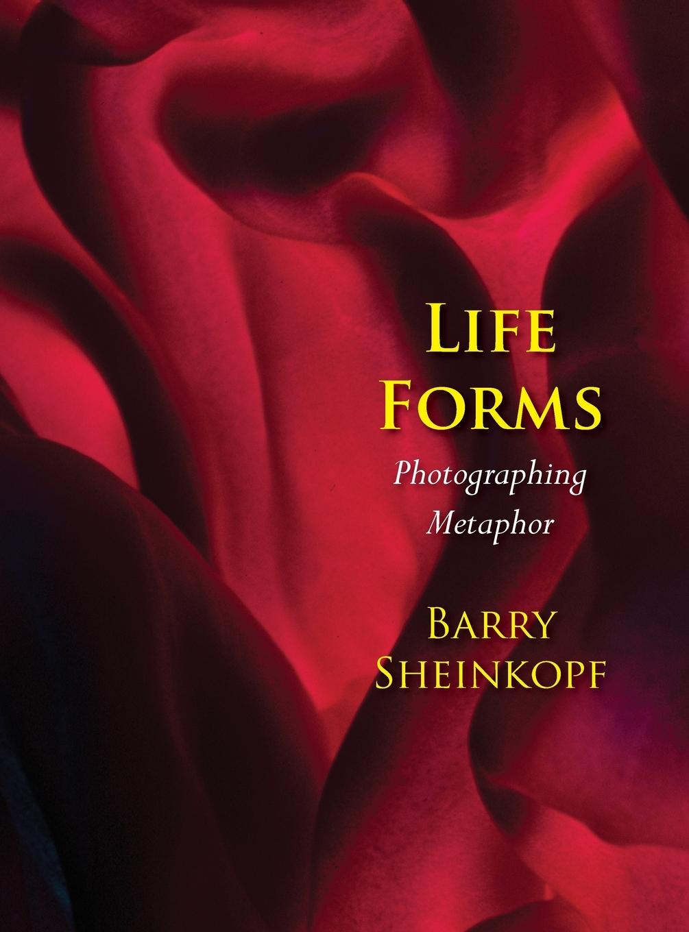 Vorderes Coverbild Life Forms: Photographing Metaphor