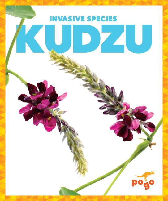 Vorderes Coverbild Kudzu