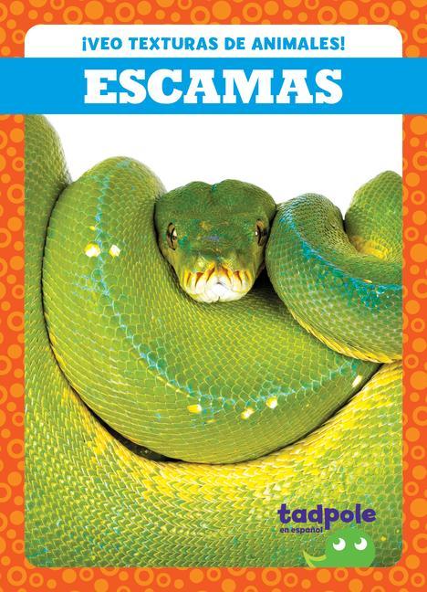 Vorderes Coverbild Escamas (Scales)
