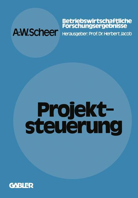 Vorderes Coverbild Projektsteuerung