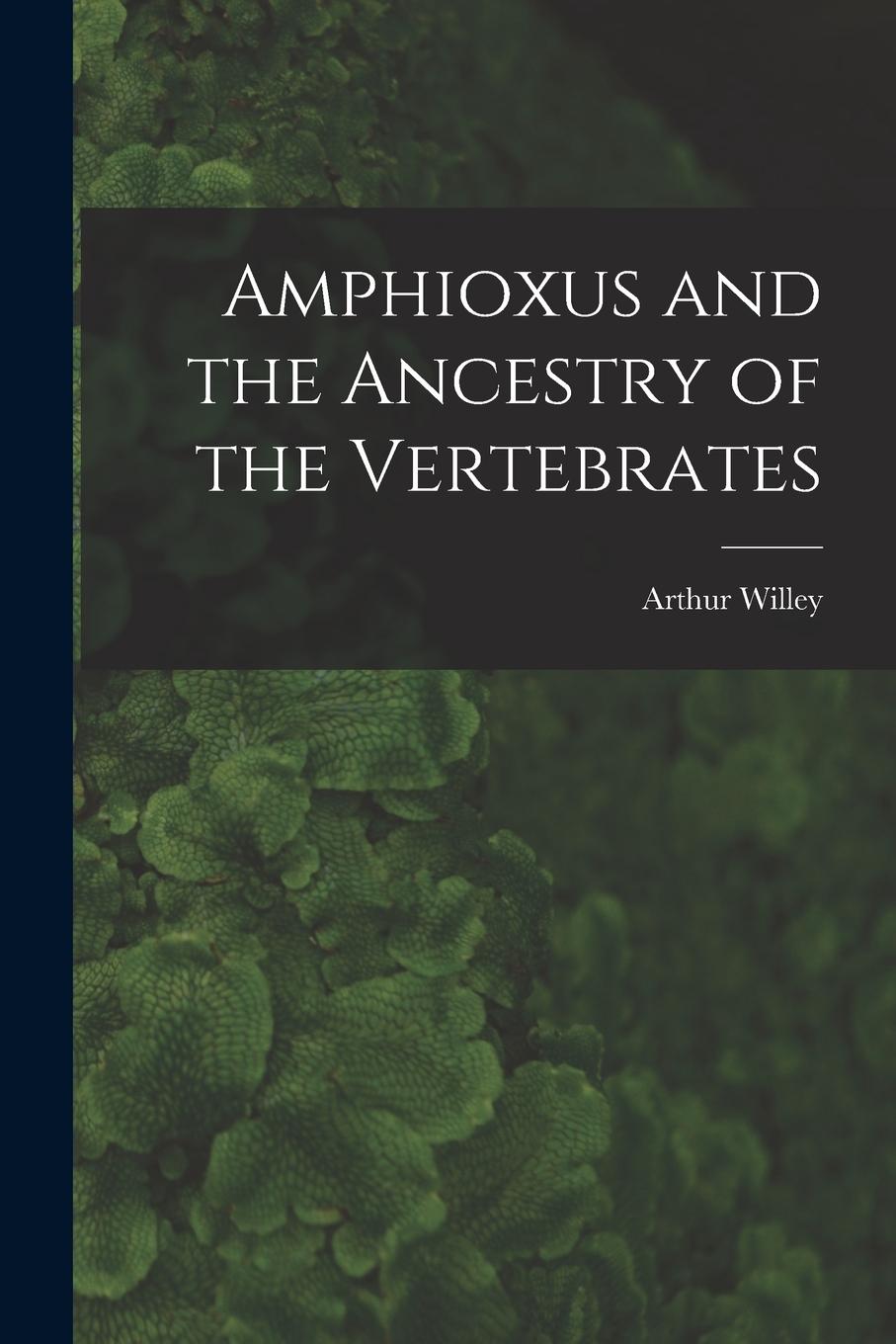Vorderes Coverbild Amphioxus and the Ancestry of the Vertebrates [microform]