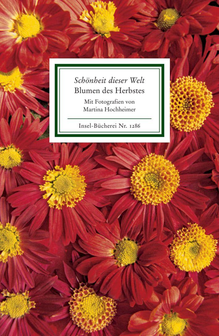 Vorderes Coverbild »Schönheit dieser Welt«. Blumen des Herbstes