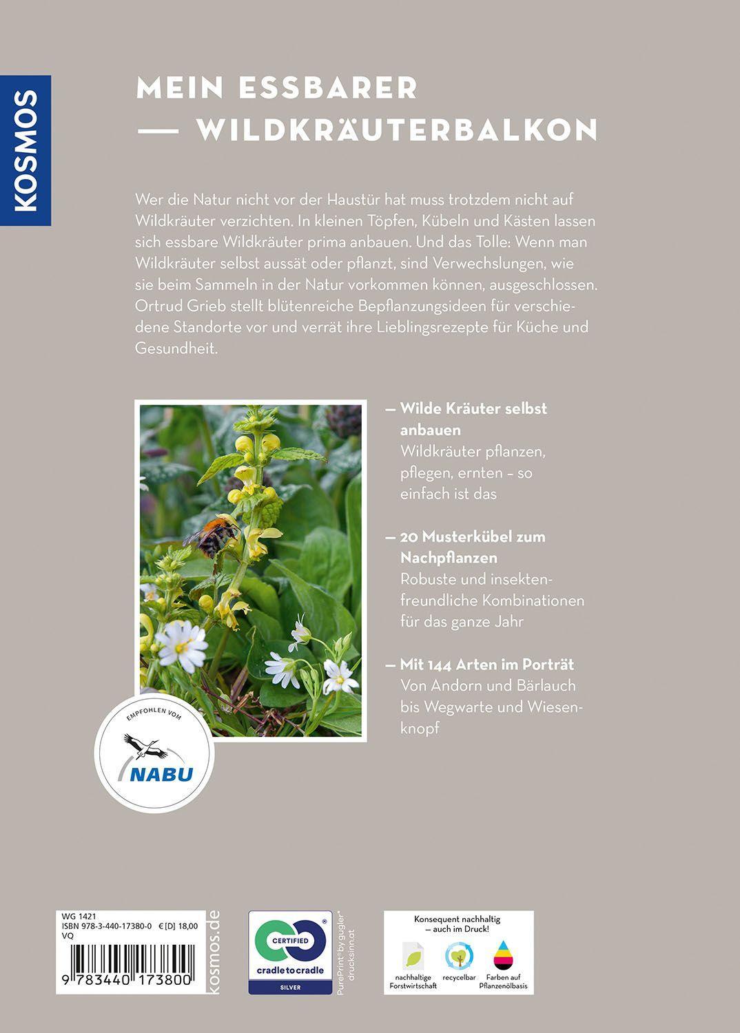 Beispielinhalt (Bild) Wildkräuter in Töpfen & Kübeln