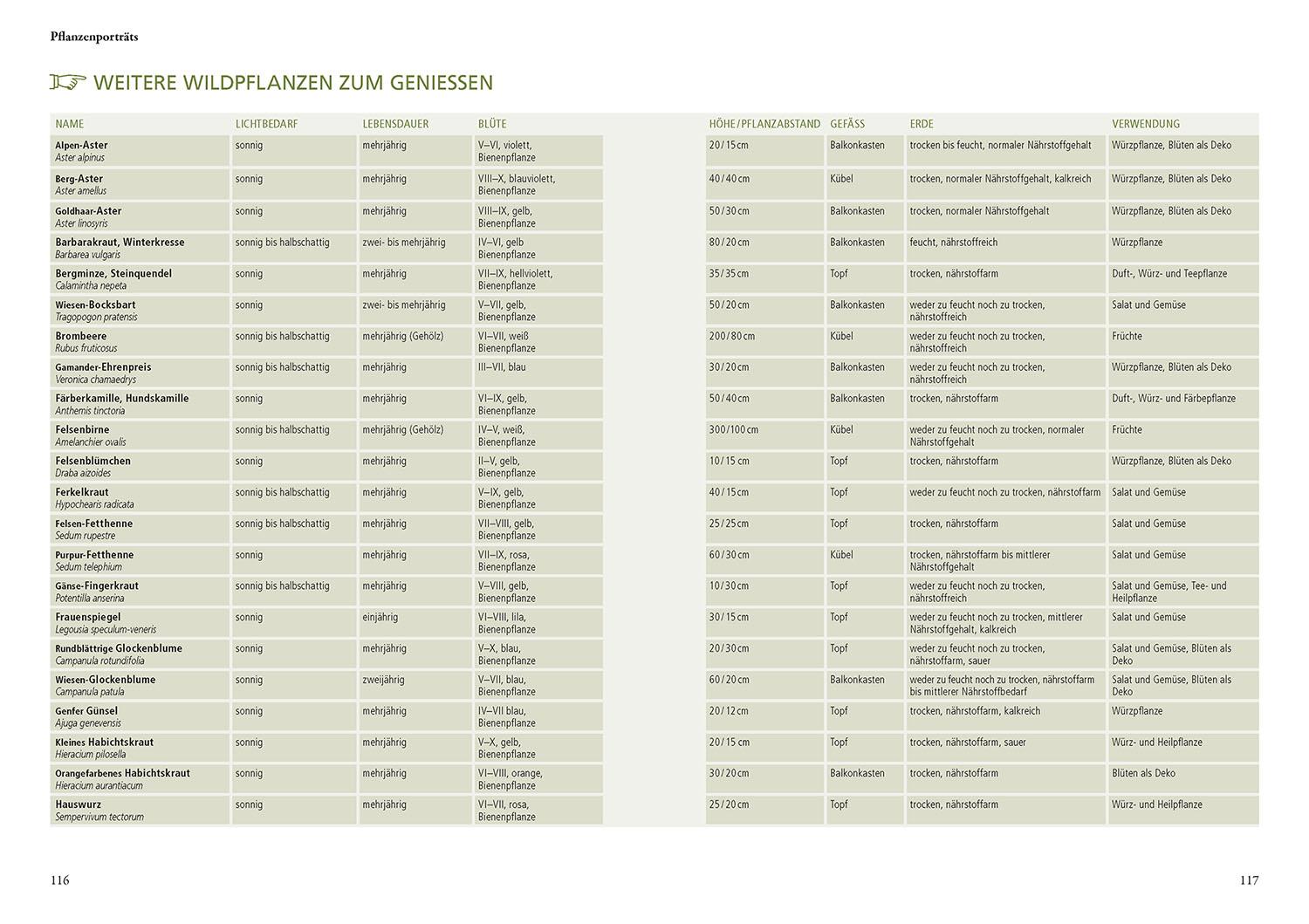 Beispielinhalt (Bild) Wildkräuter in Töpfen & Kübeln