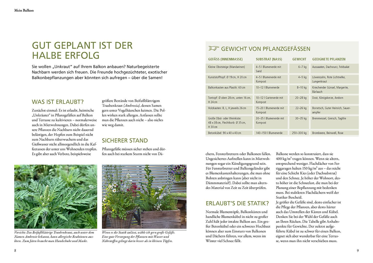 Beispielinhalt (Bild) Wildkräuter in Töpfen & Kübeln