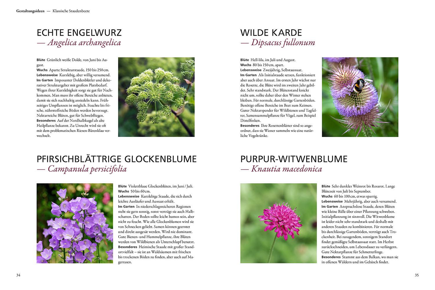 Beispielinhalt (Bild) Der antiautoritäre Garten