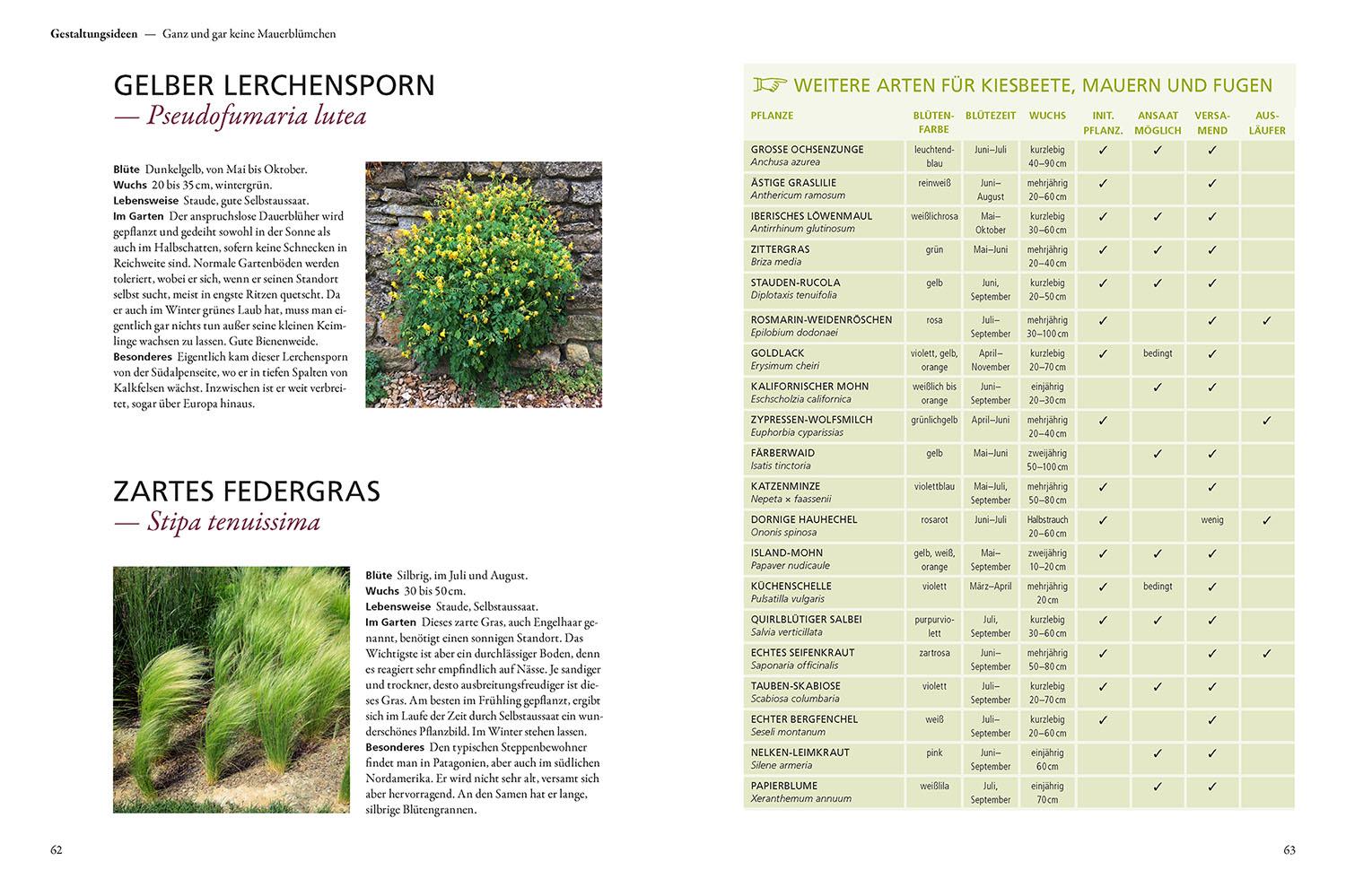 Beispielinhalt (Bild) Der antiautoritäre Garten