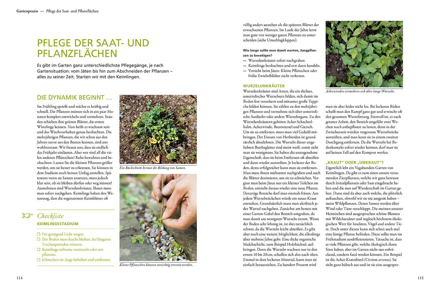 Beispielinhalt (Bild) Der antiautoritäre Garten