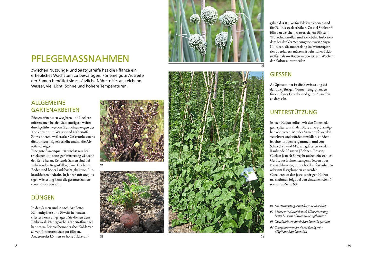 Beispielinhalt (Bild) Meine Samen-Gärtnerei