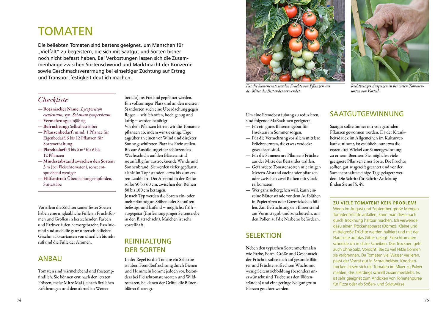 Beispielinhalt (Bild) Meine Samen-Gärtnerei