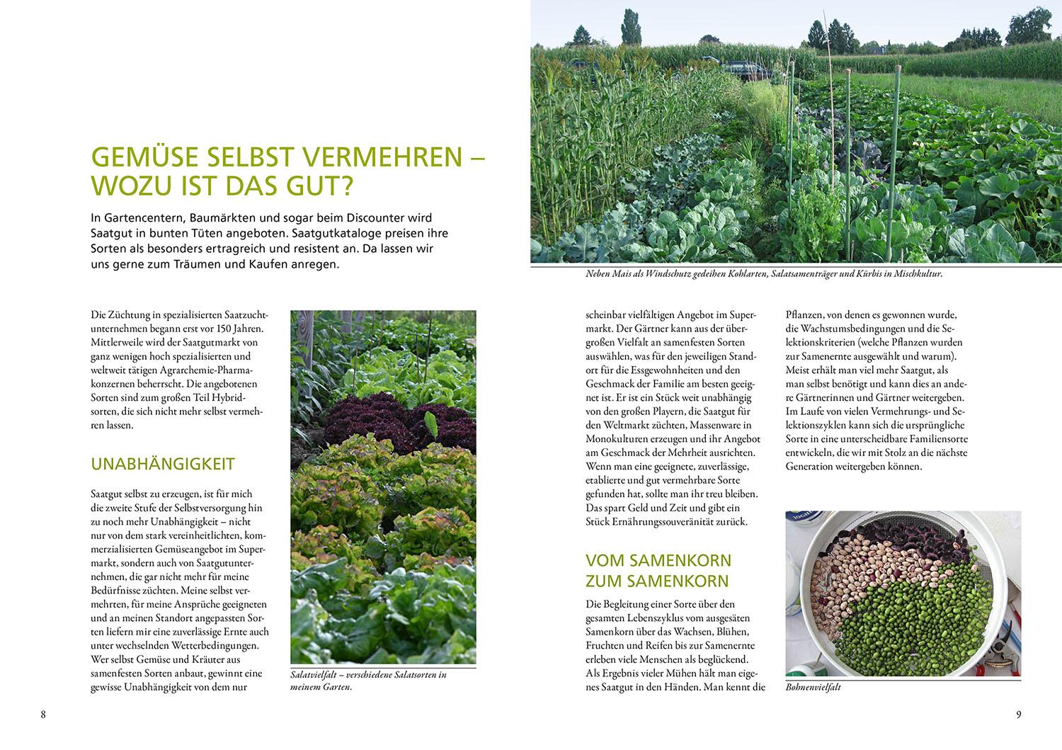 Beispielinhalt (Bild) Meine Samen-Gärtnerei