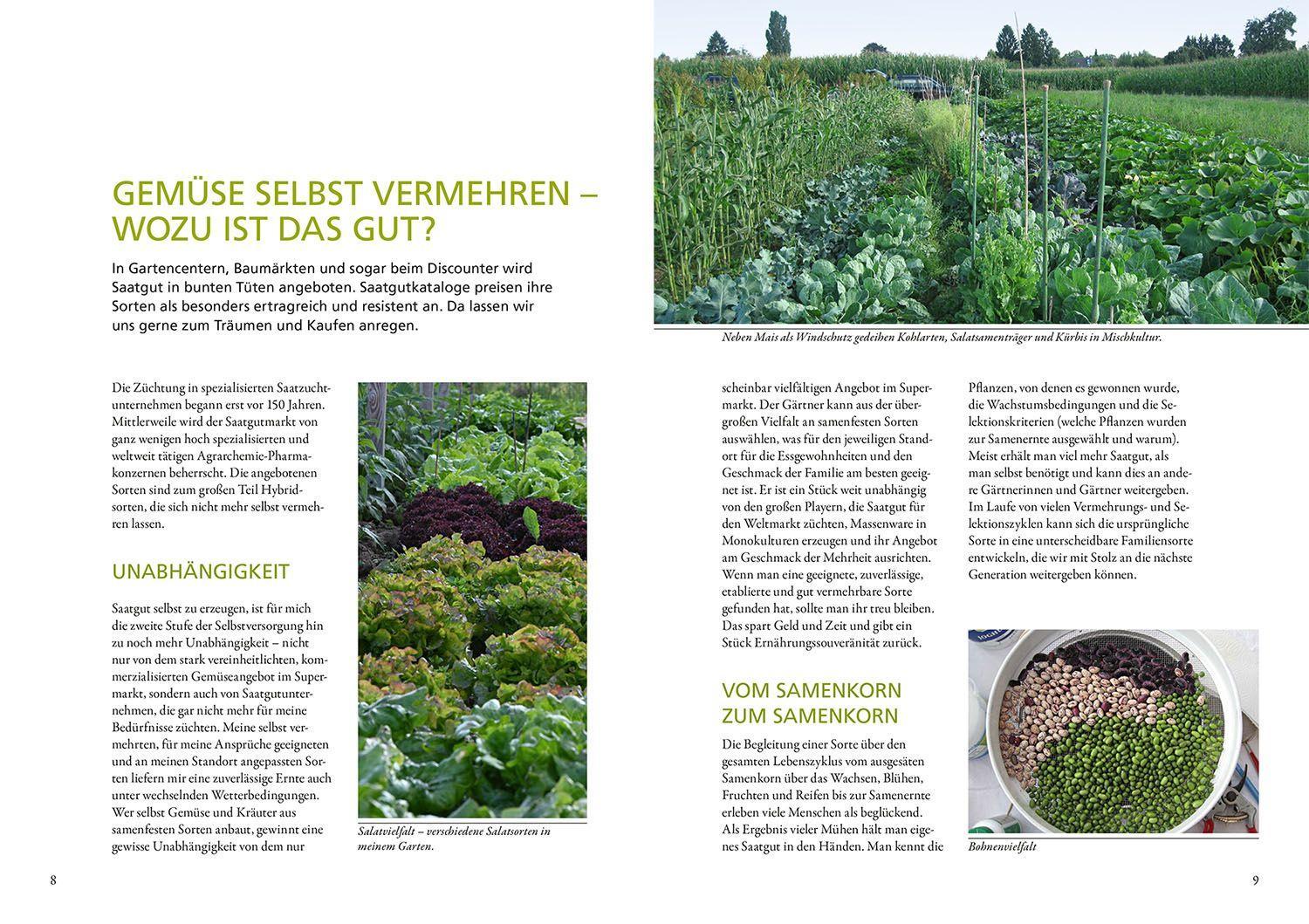 Beispielinhalt (Bild) Meine Samen-Gärtnerei