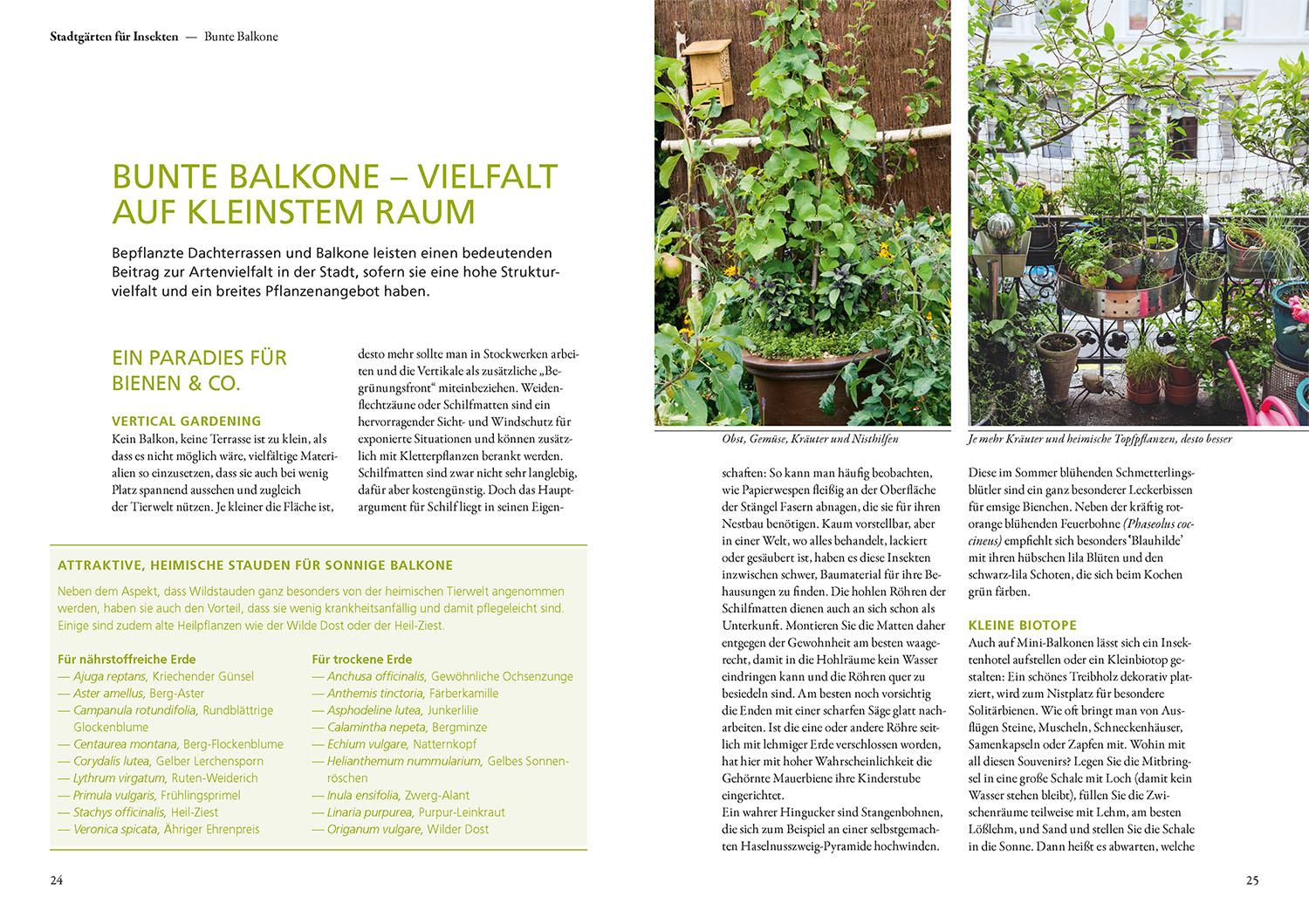 Beispielinhalt (Bild) Mein Garten summt!