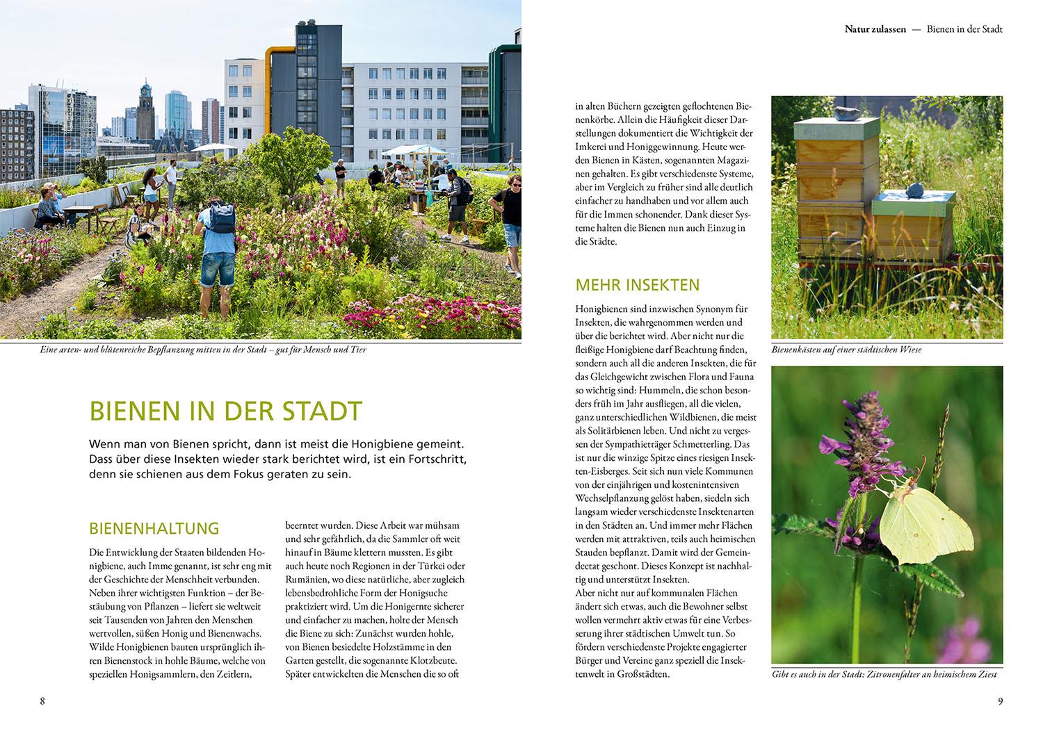 Beispielinhalt (Bild) Mein Garten summt!