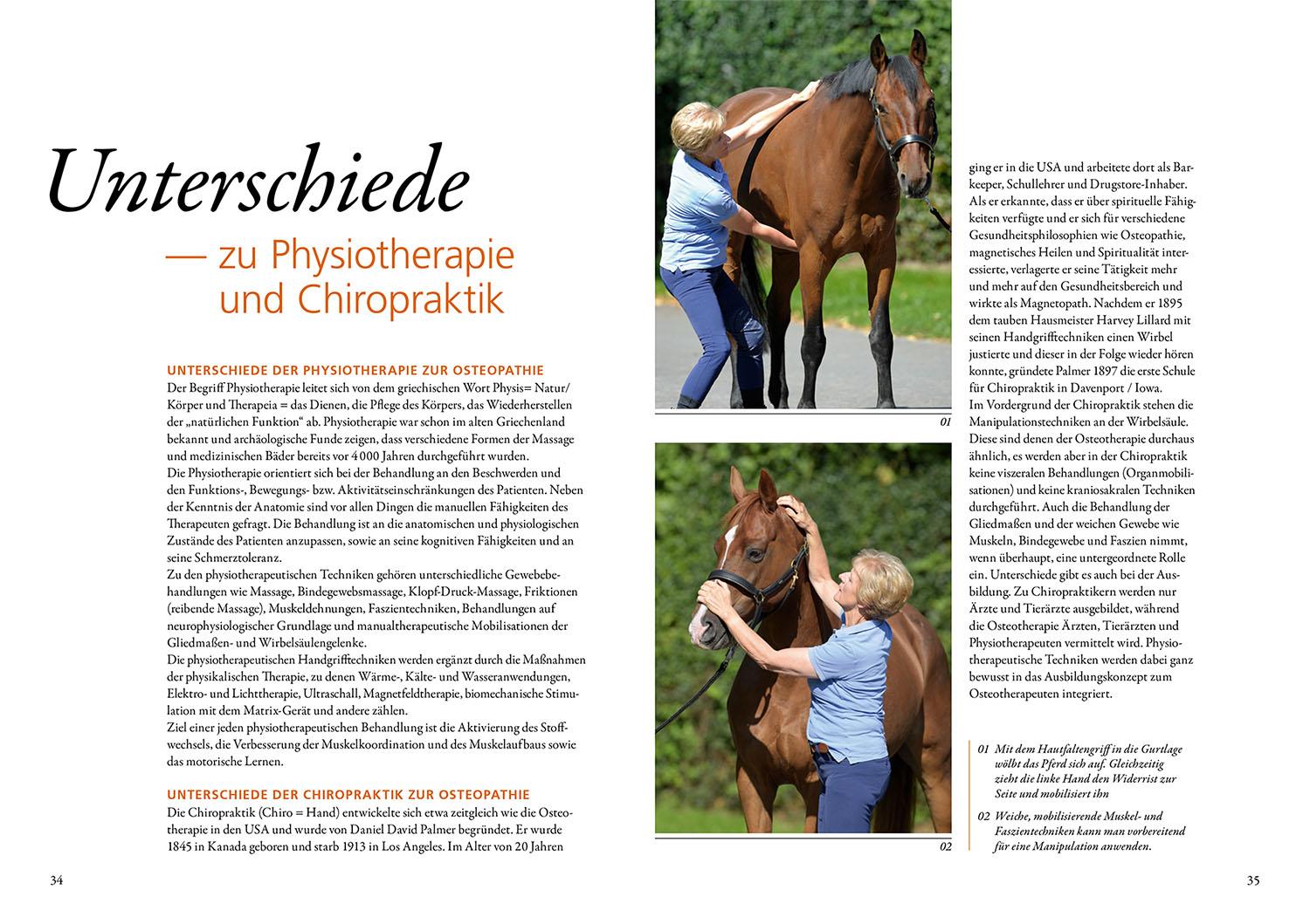 Beispielinhalt (Bild) Osteopathie für Pferde