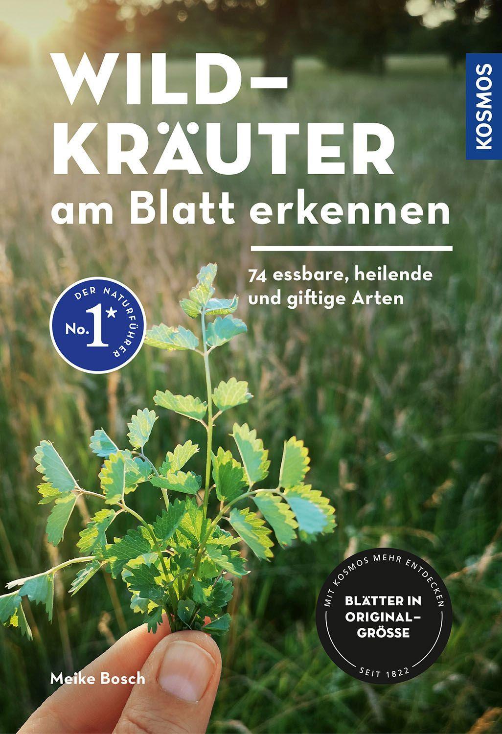 Vorderes Coverbild Wildkräuter am Blatt erkennen