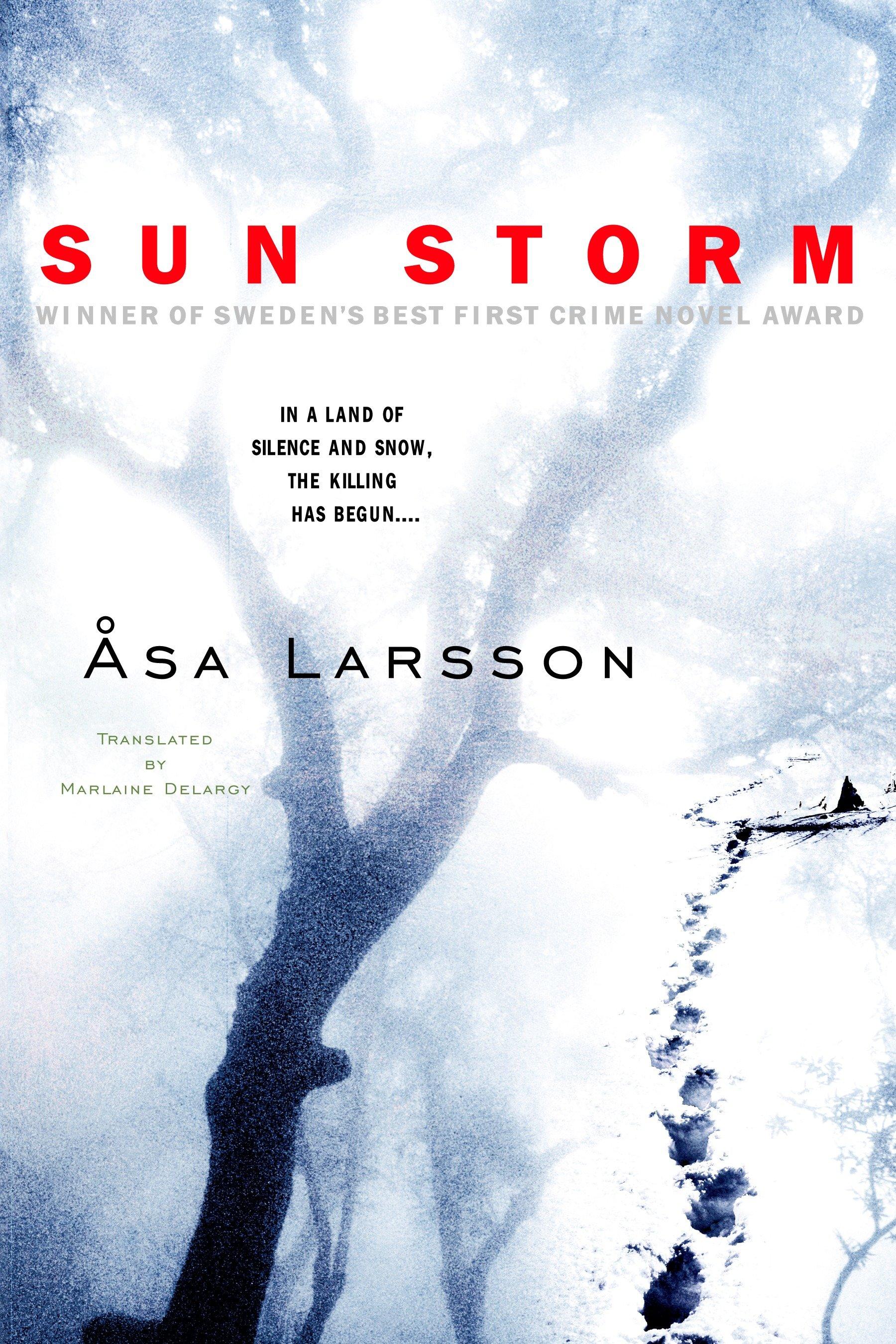 Vorderes Coverbild Sun Storm
