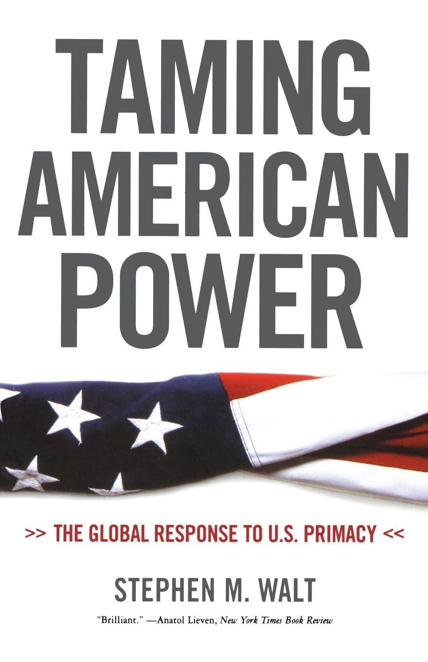 Vorderes Coverbild Taming American Power