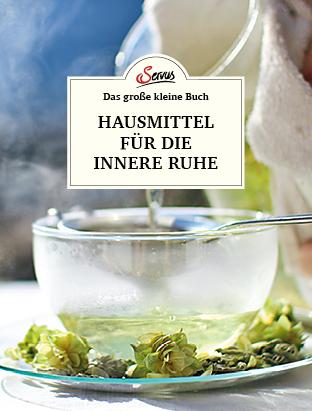 Vorderes Coverbild Das große kleine Buch: Hausmittel für die innere Ruhe