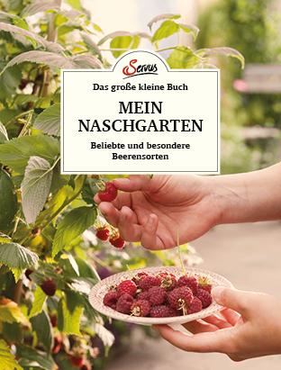 Vorderes Coverbild Das große kleine Buch: Mein Naschgarten