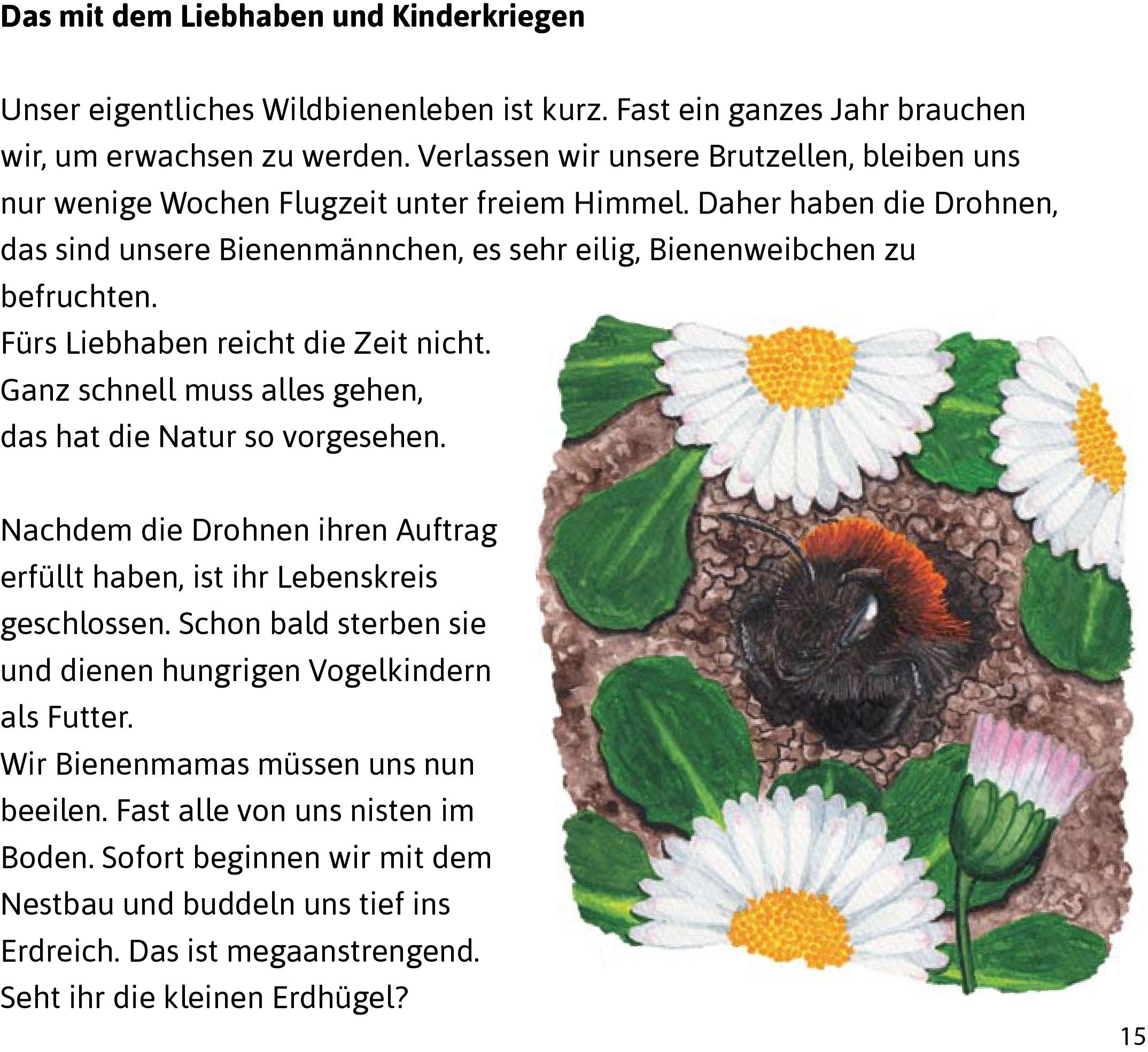 Beispielinhalt (Bild) ACH DU LIEBE BIENE