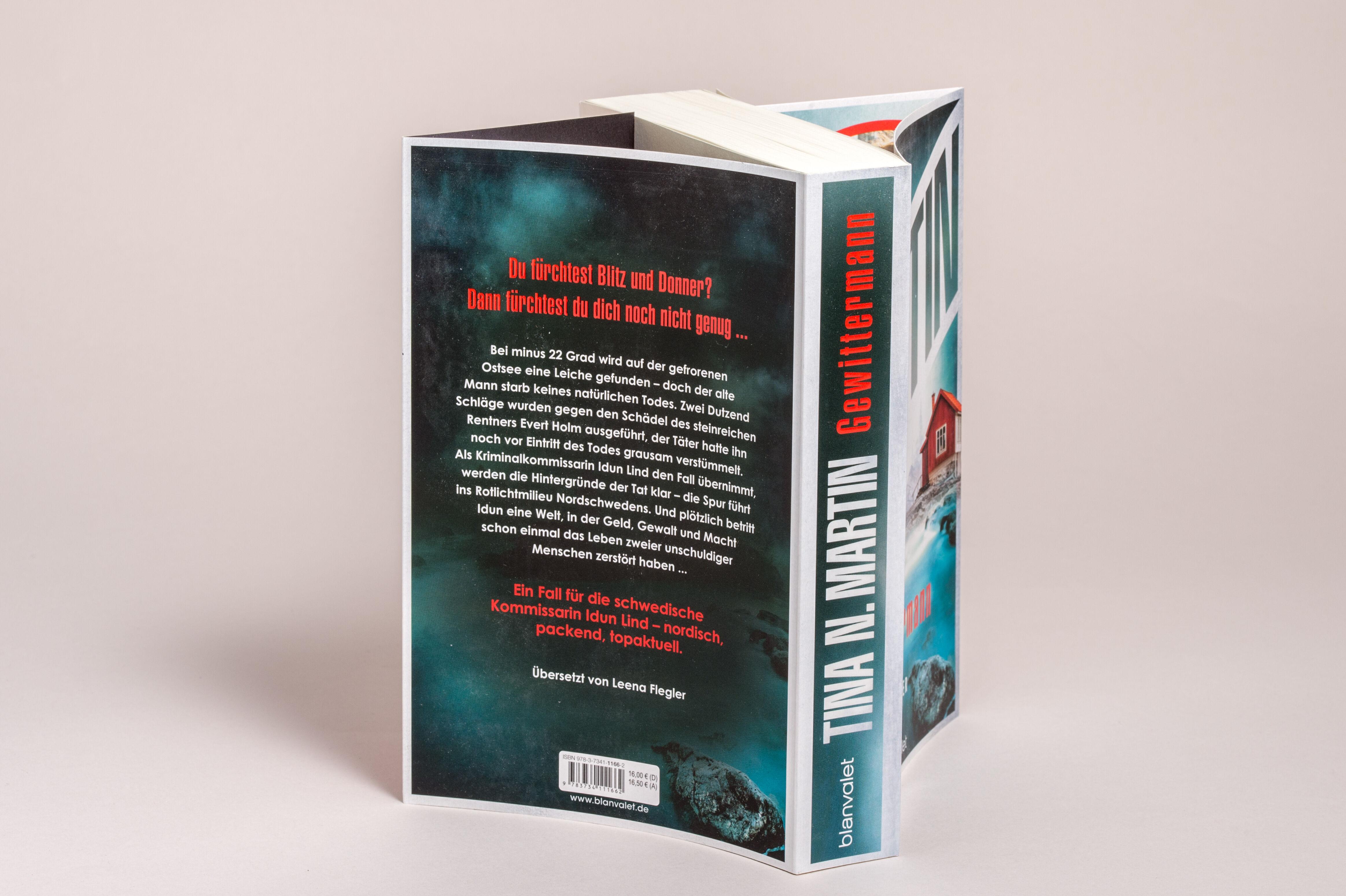 Beispielinhalt (Bild) Gewittermann