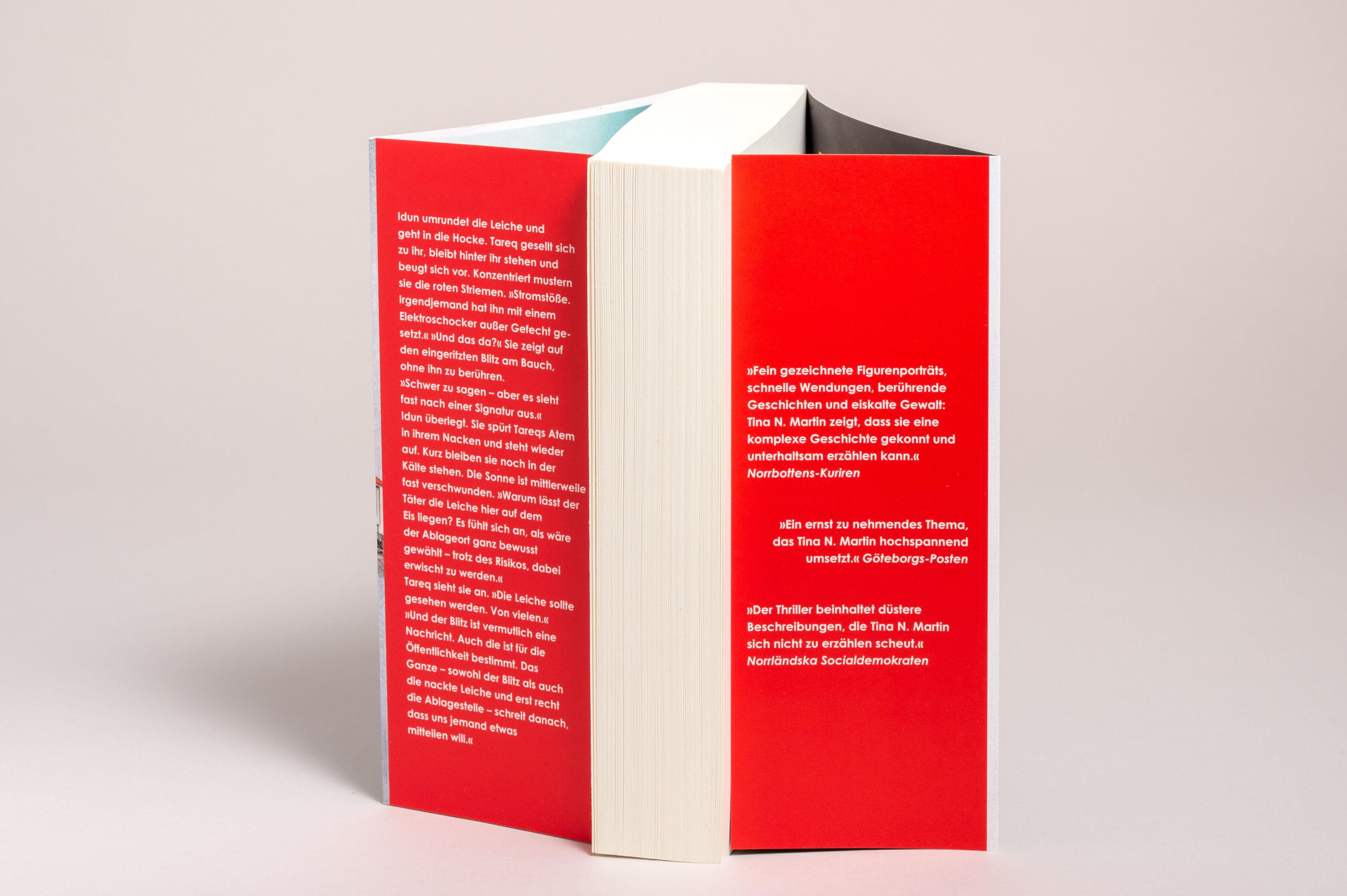 Beispielinhalt (Bild) Gewittermann