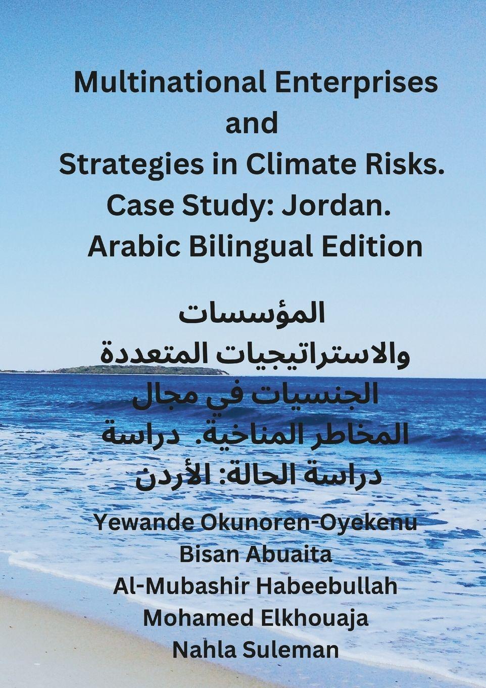 Vorderes Coverbild Multinational Enterprises and Strategies in Climate Risks. Case Study