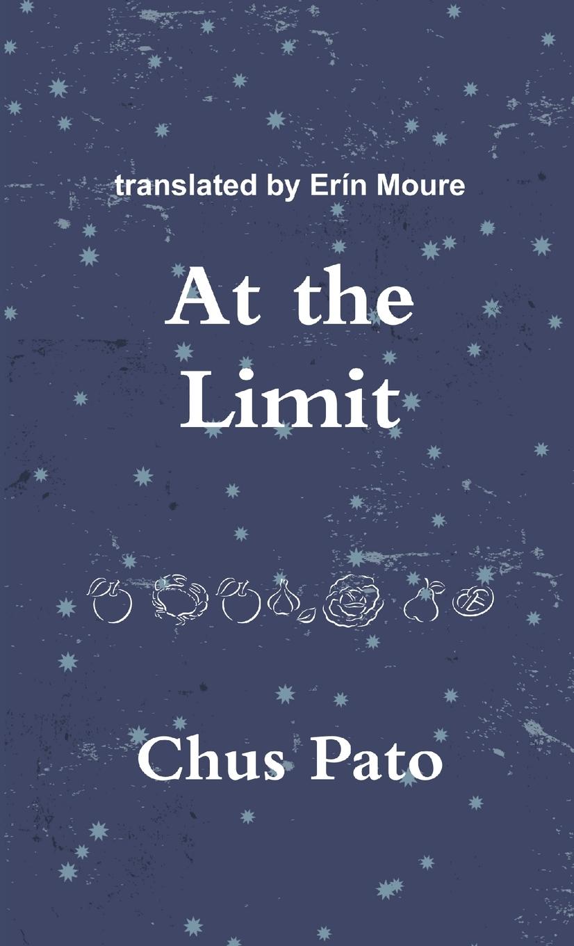 Vorderes Coverbild At the Limit