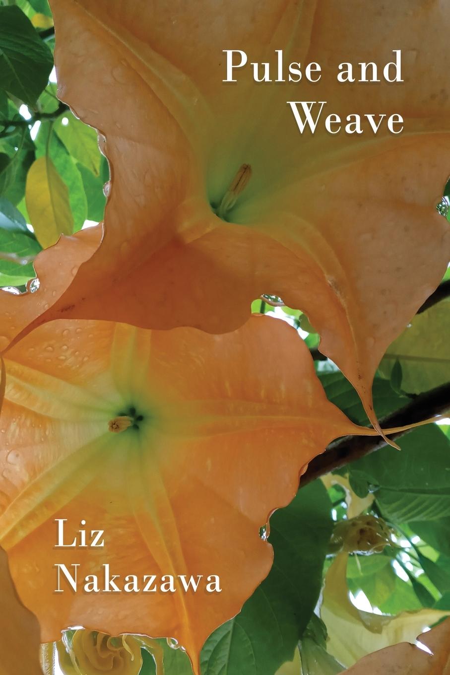 Vorderes Coverbild Pulse and Weave