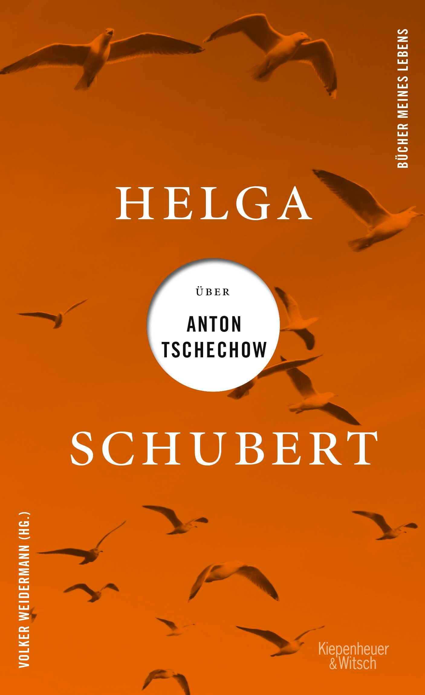 Vorderes Coverbild Helga Schubert über Anton Tschechow