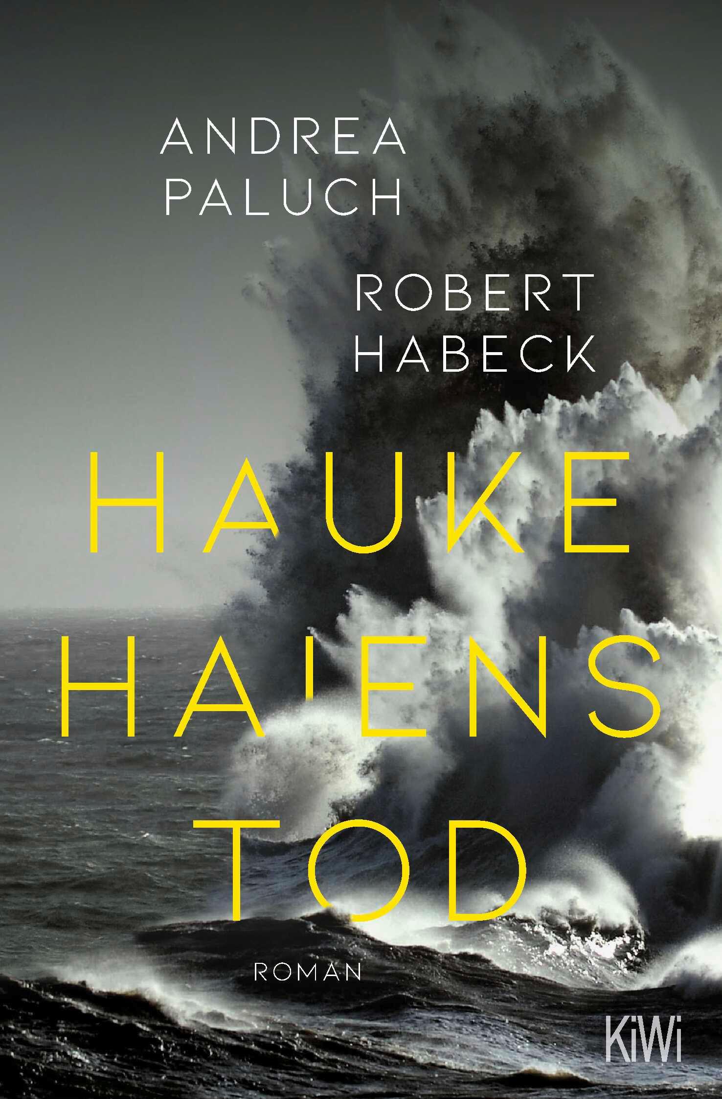 Vorderes Coverbild Hauke Haiens Tod