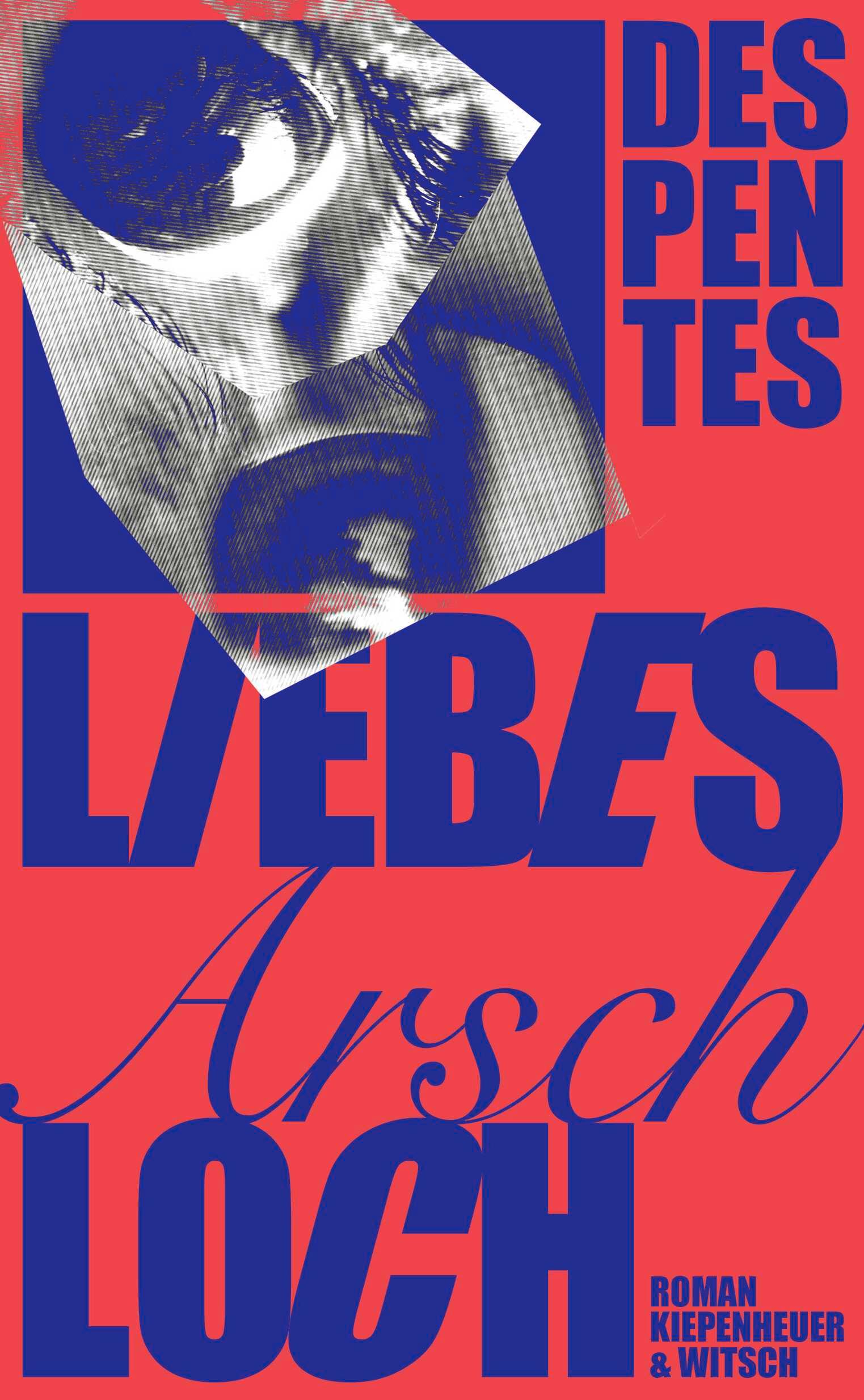 Vorderes Coverbild Liebes Arschloch